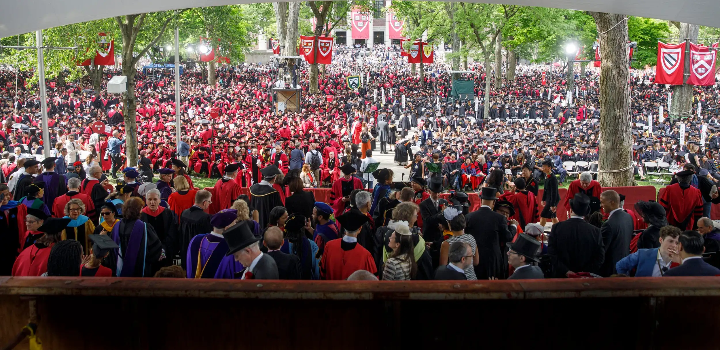 Harvard Commencement 2024